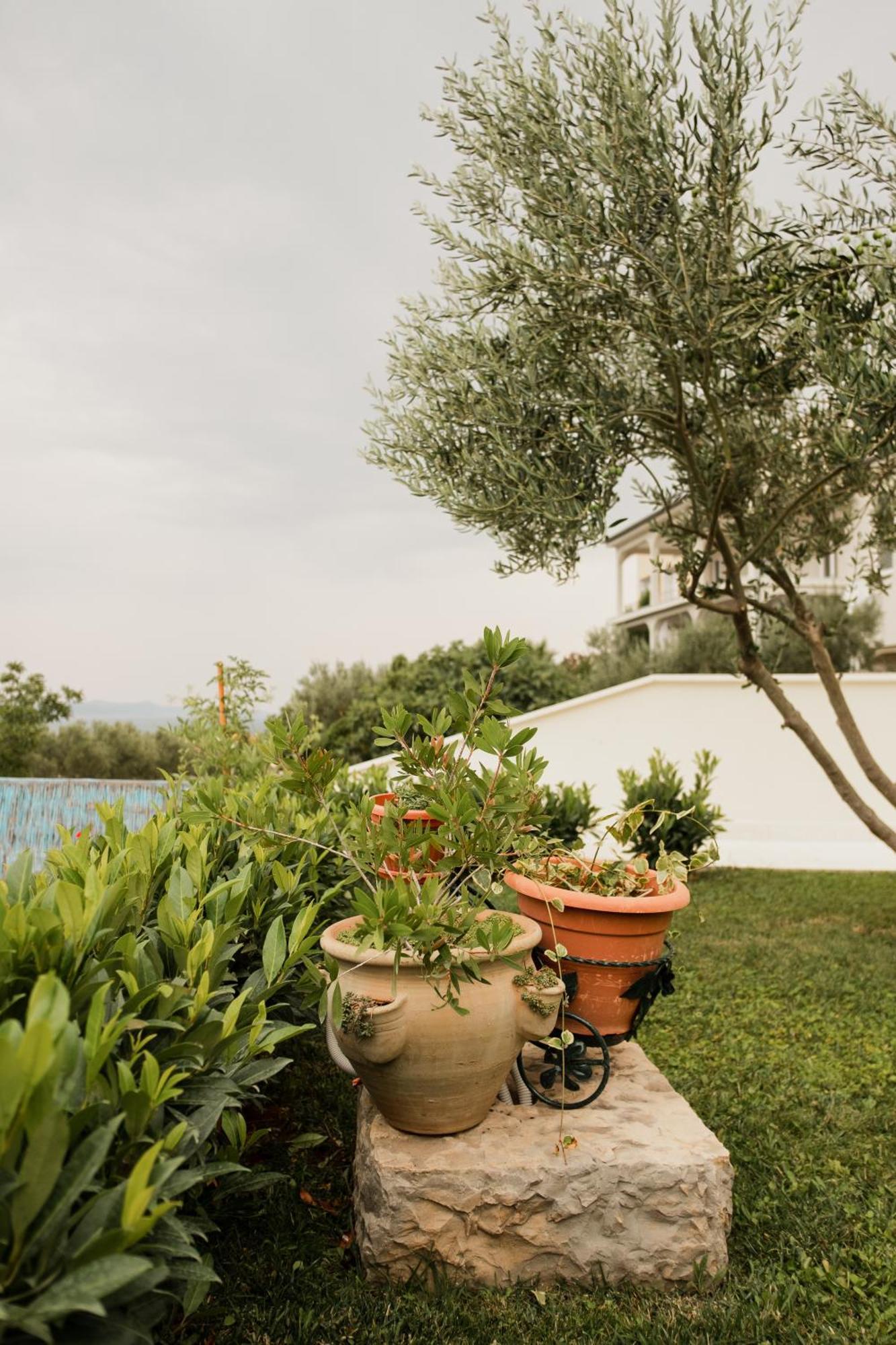 Maricic Apartma Sveti Petar (Zadar)
